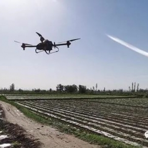 甘州區小滿鎮：無人機作業助力制種玉米統防統治