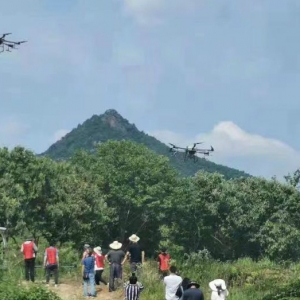 為保護(hù)百萬畝板栗，羅田出動15架無人機(jī)噴藥
