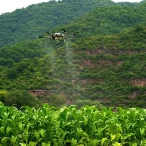 旬邑采用無人機為煙葉進行植保作業