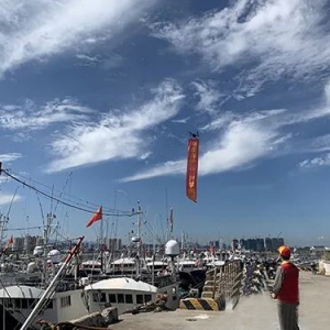 無人機助力電力設施保護