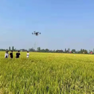 大通湖區(qū)金盆鎮(zhèn) 無(wú)人機(jī)撒播紫云英 美了鄉(xiāng)村肥了田