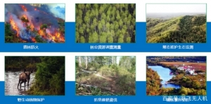 無(wú)人機(jī)林草區(qū)應(yīng)用解決方案